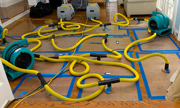 Professional Crawl Space Water Removal technician working in New Paris, IN